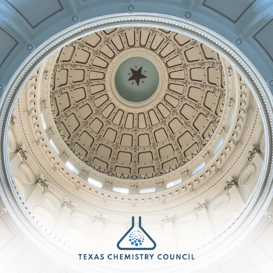 2025 Texas Chemistry Council Brochure