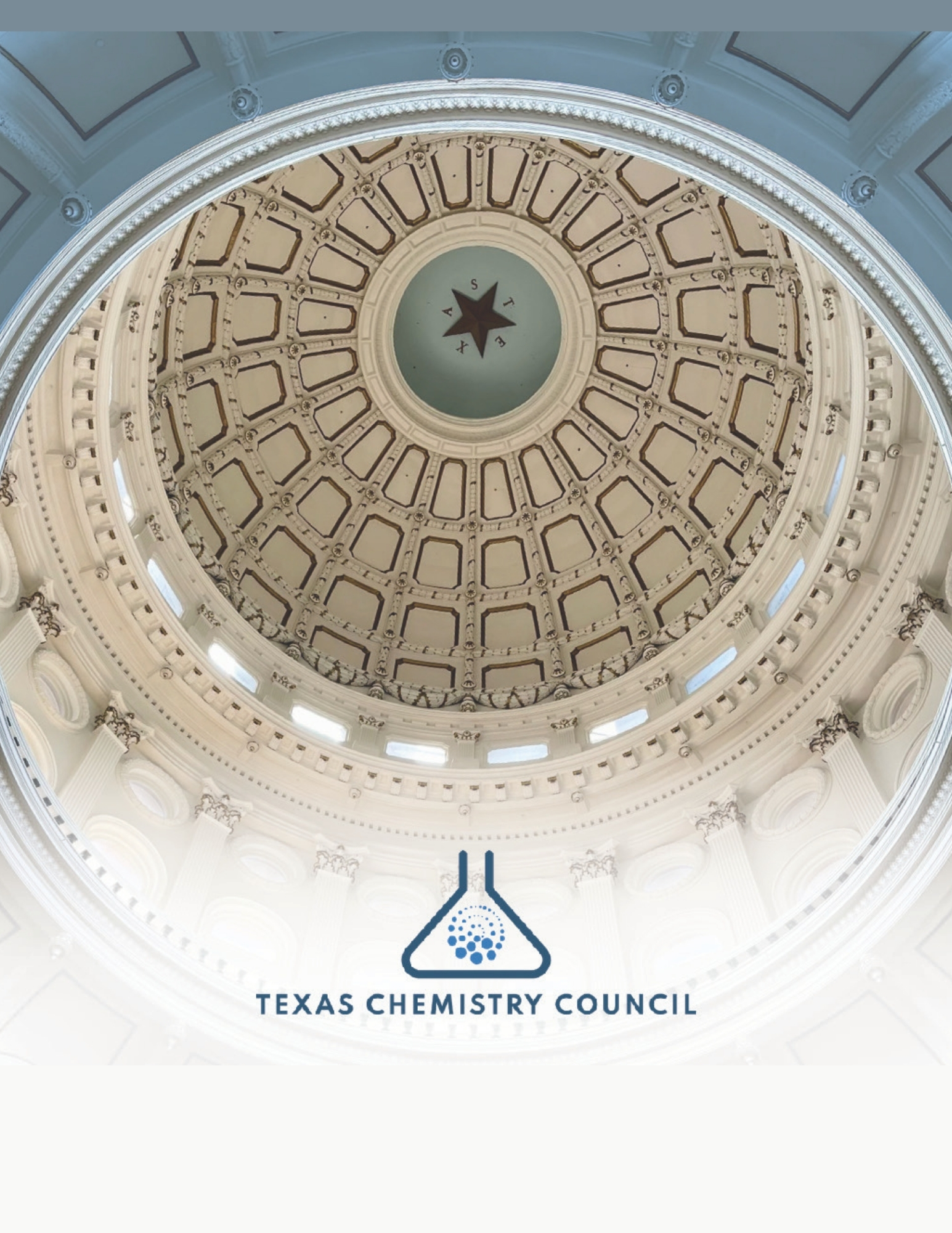 Texas Chemistry Council Brochure